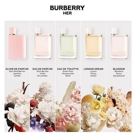 Burberry Her Burberry perfume 